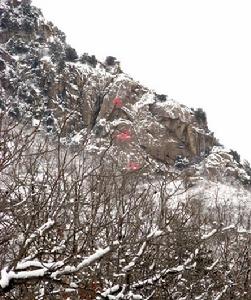 大楊山森林公園