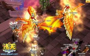 華麗的飛行騎寵引來了眾人圍觀