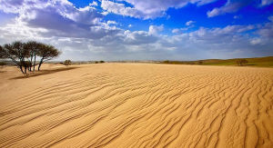 渾善達克沙漠 渾善達克沙漠