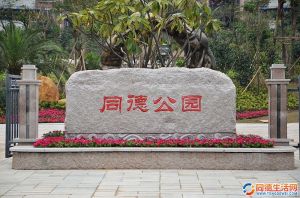 同德公園 同德公園