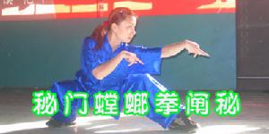 秘門螳螂拳