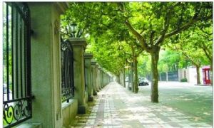 華山路街道 華山路街道