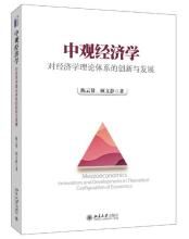 中觀經濟學 中觀經濟學