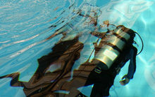 進行潛水訓練的蛙人隊員