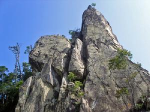 尖峰嶺自然保護區