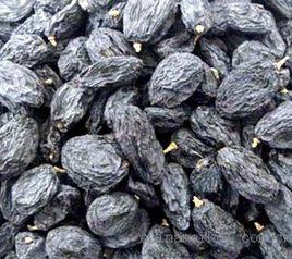 黑龍江黑加倫 黑龍江黑加倫