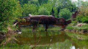 大豐麋鹿自然保護區