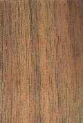 木材紋理