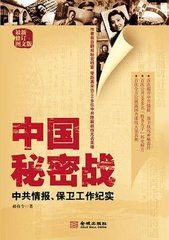 《中國秘密戰》