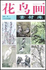 花鳥畫素材庫 花鳥畫素材庫