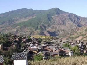 李子箐村 李子箐村