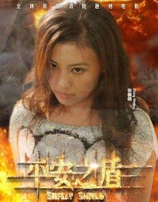 平安之盾 平安之盾