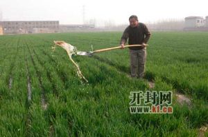 西姜寨鄉 西姜寨鄉