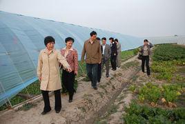 港西街道 港西街道