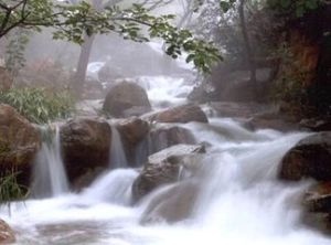 雲蒙山國家森林公園