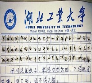 60隻蚊子作文 60隻蚊子作文