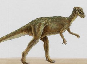 天宇盜龍 天宇盜龍