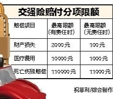 分項限額 分項限額