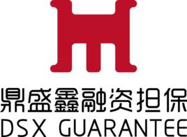 鼎盛鑫融資擔保有限公司