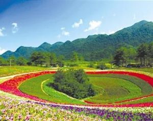 巫溪紅池壩 巫溪紅池壩