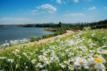 萬山[河南省滎陽市萬山]