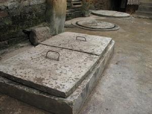 梅子樹自然村[雲南臨滄鳳慶縣洛黨鎮田心村委梅子樹自然村]