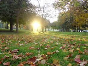 日出公園 日出公園