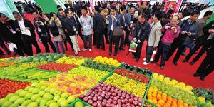 海南冬交會 海南冬交會