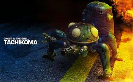 塔奇克馬 塔奇克馬