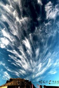 世界五大佛教聖地 世界五大佛教聖地