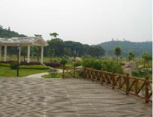 廣州義務植樹公園 廣州義務植樹公園