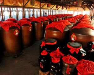 東湖醋園 東湖醋園