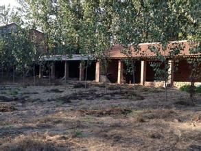 牛富屯村 牛富屯村