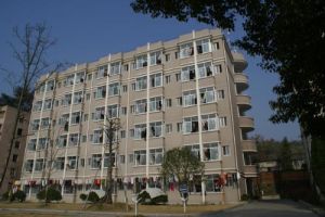 浙江松陽師範 浙江松陽師範