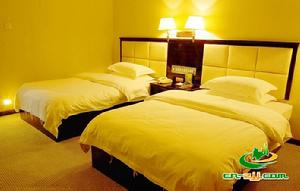 酒店雙人標房