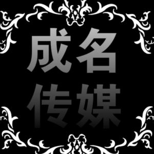 成名文化傳媒 成名文化傳媒