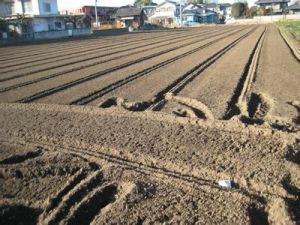 土壤無機物污染 土壤無機物污染