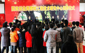 林業化工技術 林業化工技術