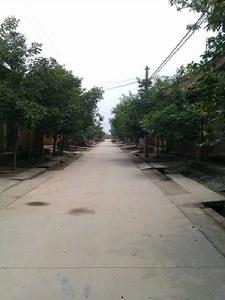 南太奇村 南太奇村