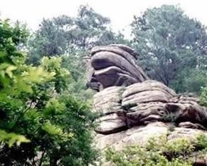 猴石森林公園 猴石森林公園