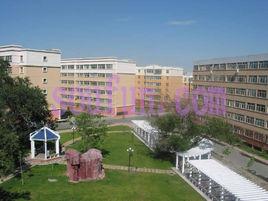 晨光花園 晨光花園