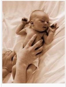 早產兒視網膜病變 早產兒視網膜病變