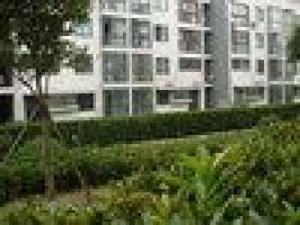 德國新城 德國新城