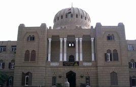 埃及艾因·夏姆斯大學 埃及艾因·夏姆斯大學