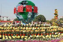 小欖菊花會盛況