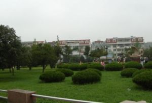 三鑫小區 三鑫小區