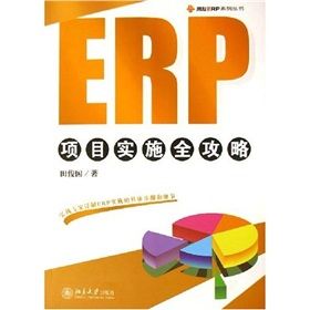 《ERP項目實施全攻略》