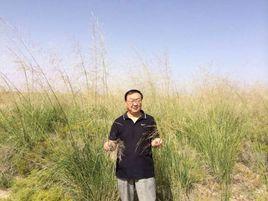 張志毅[書法家]