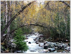 哈日圖熱格國家森林公園