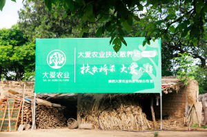 大愛農業 大愛農業